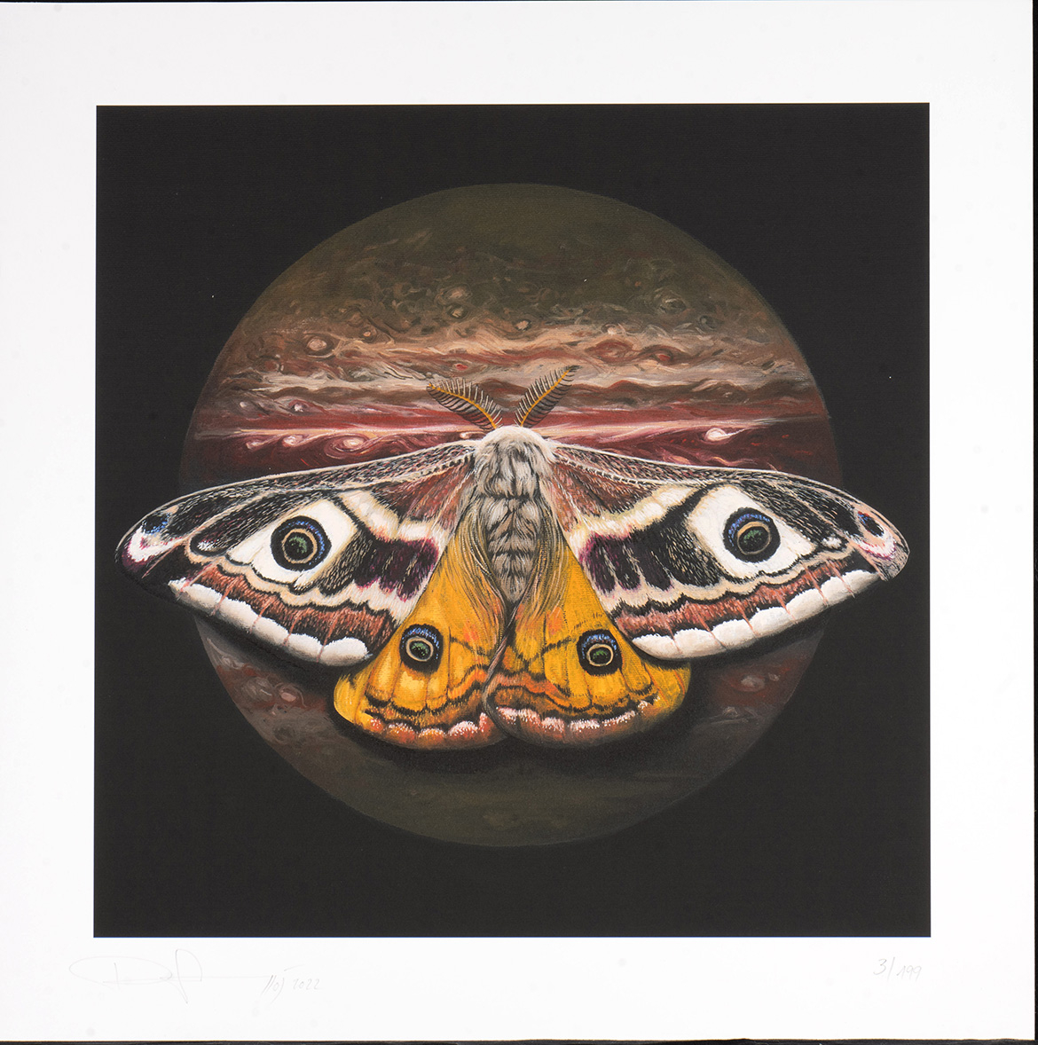 © richardluerzer.at