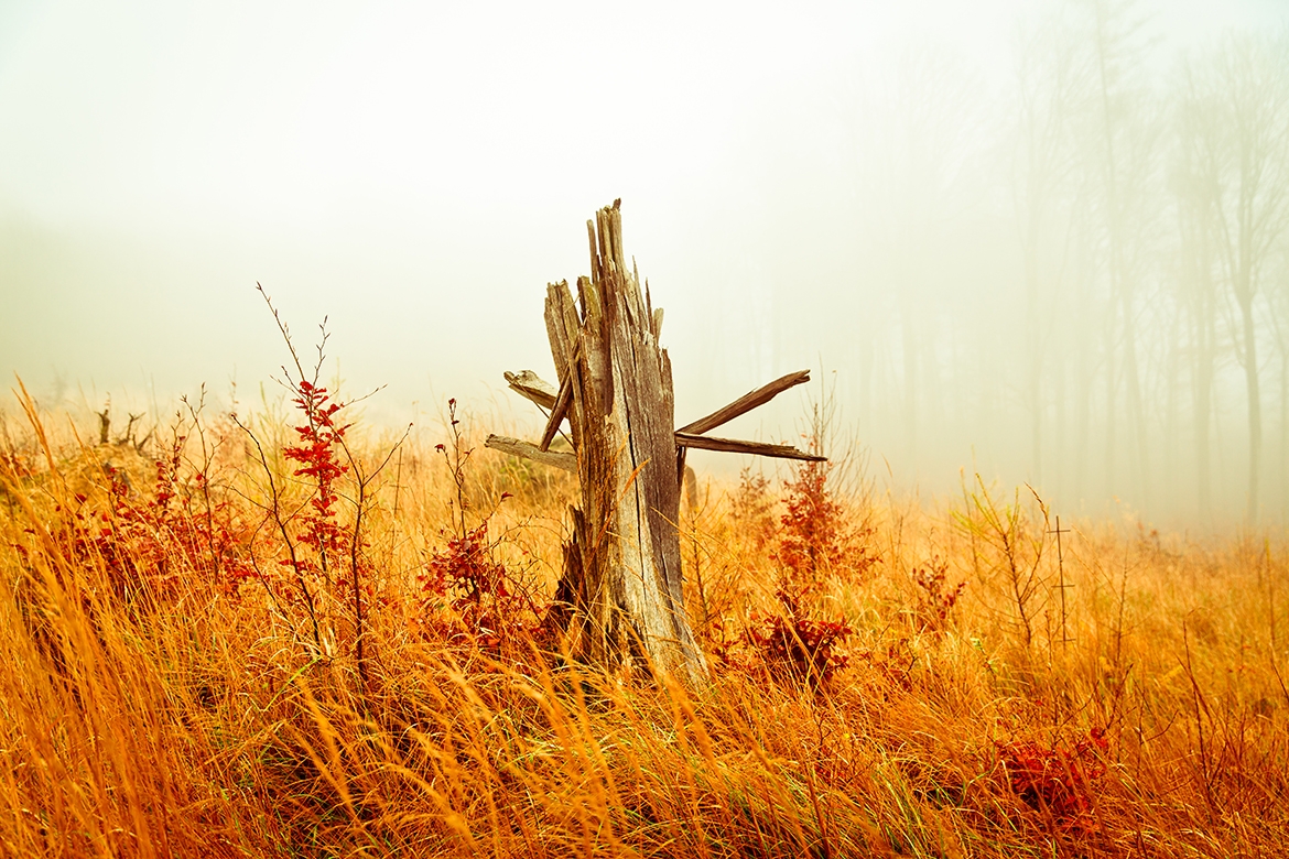 Copyright Richard Luerzer