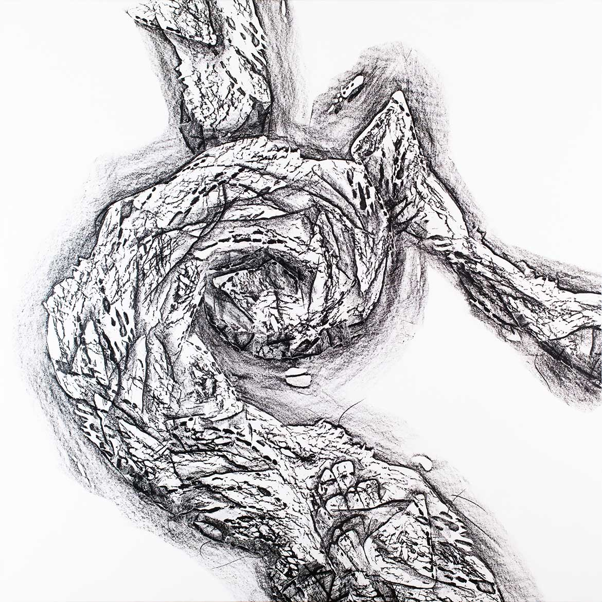 Copyright Richard Luerzer