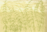 © richardluerzer.at