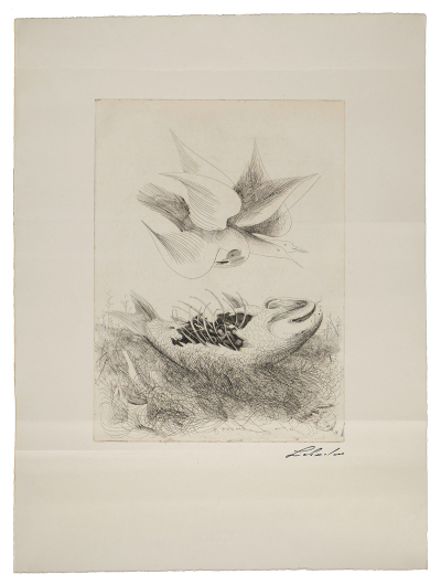 © richardluerzer.at