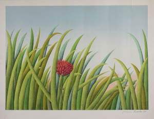 Haller Roman, &quot;Ereignis Natur&quot;