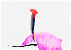 © richardluerzer.at