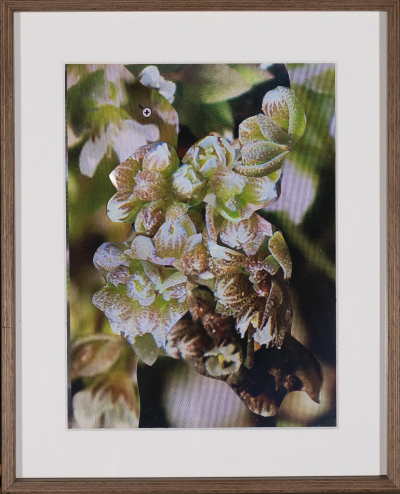 © richardluerzer.at